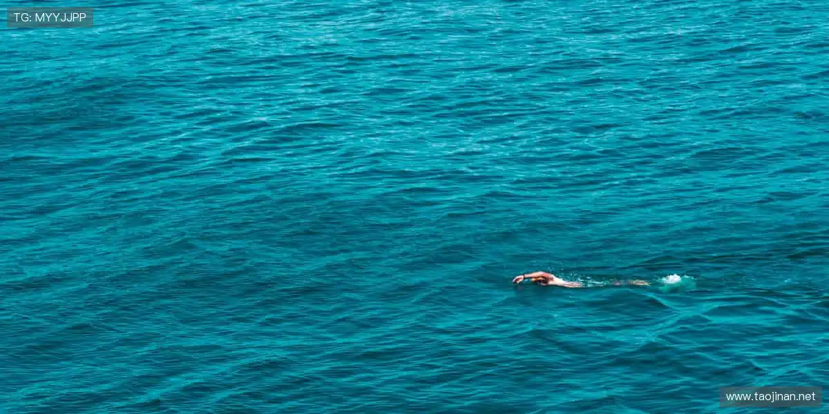 💻🎯 无插件直播，画质堪比现场！